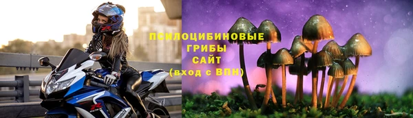 спиды Вязьма