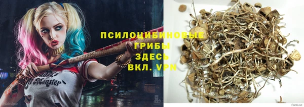 стаф Володарск
