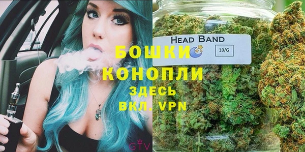 стаф Володарск